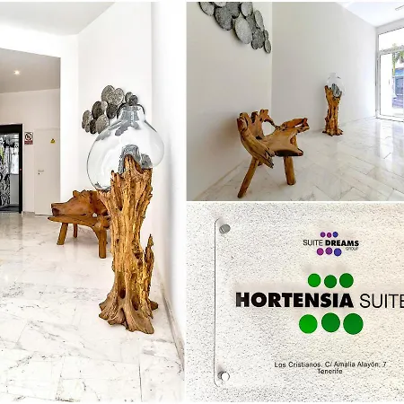 Lägenhet Luxury Sea View Penthouse, Hortensia Apartments, Cristianos, Tenerife Los Cristianos (Tenerife)