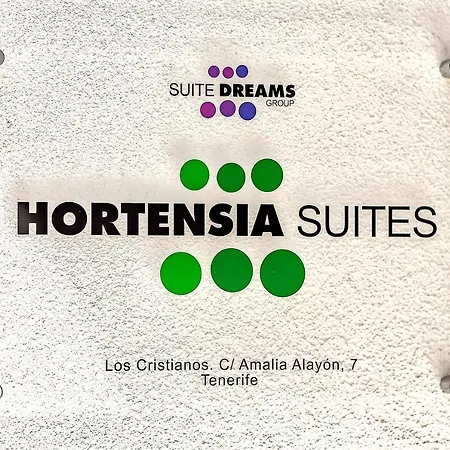 Luxury Sea View Penthouse, Hortensia Apartments, Cristianos, Tenerife