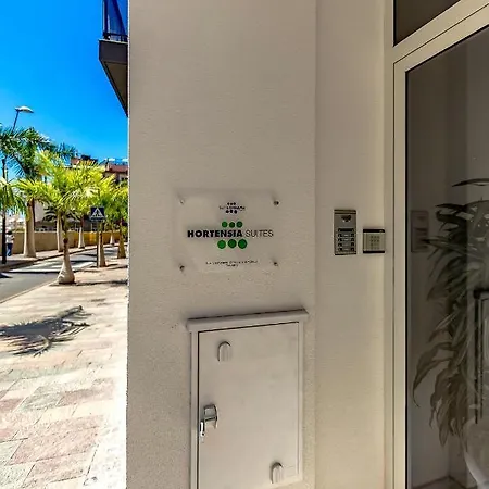 Lägenhet Luxury Sea View Penthouse, Hortensia Apartments, Cristianos, Tenerife *